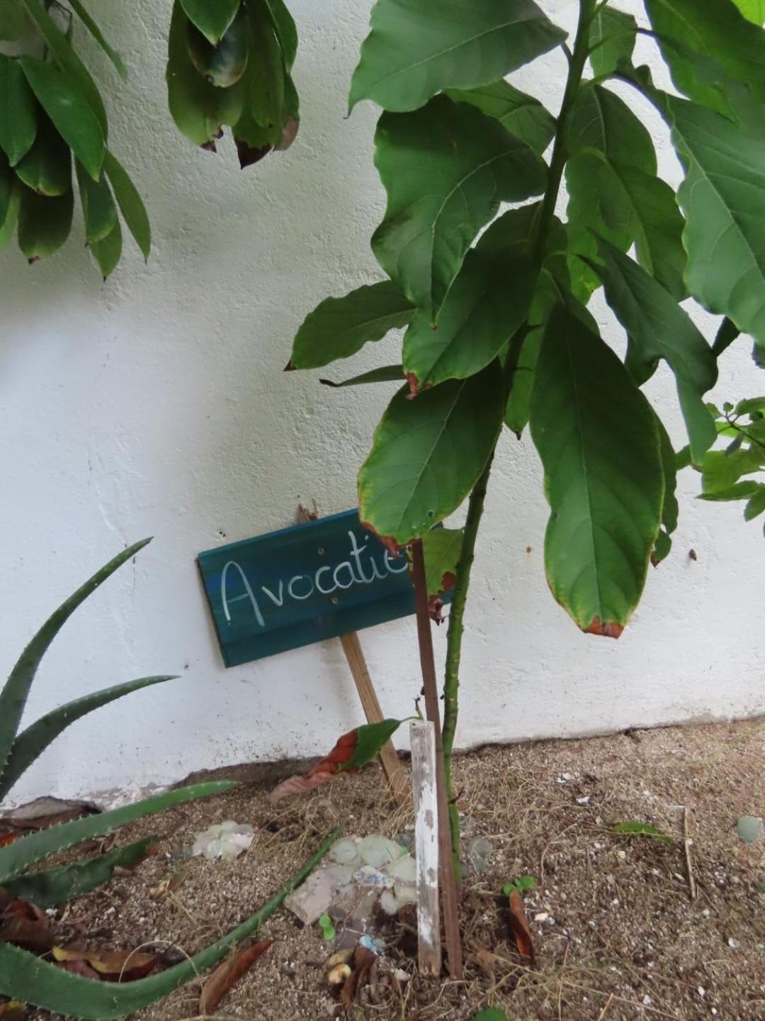 Akunamatata Guest House Гран Кейс Екстериор снимка